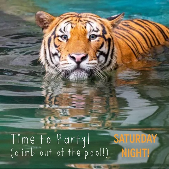 That’s a Wrap!! Thank You!! XOXO - Picture 3 of 9